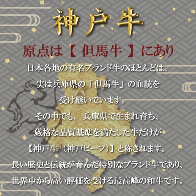 神戸牛(神戸ビーフ) 焼き肉用セット 計1Kg TKYS5 【2026年4月より順次発送】