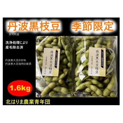 【季節限定】　丹波黒大豆枝豆　さやのみ　毛取り洗浄済