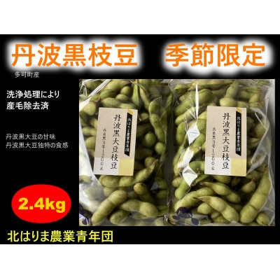 【季節限定】　丹波黒大豆枝豆　さやのみ　毛取り洗浄済　2.4Kg
