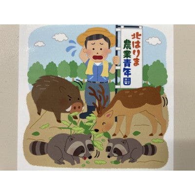 【季節限定】　丹波黒大豆枝豆　さやのみ　毛取り洗浄済　2.4Kg