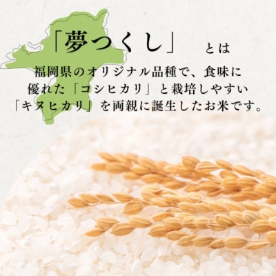 定期便 12回 特別栽培米 福岡県 小郡産 夢つくし 5kg 米[No5354-2298]