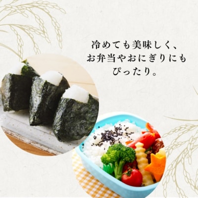 特別栽培米 福岡県 小郡産 元気つくし 5kg 米 お米[No5354-2299]