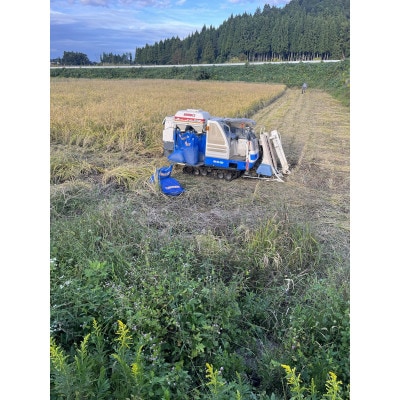 【令和8年産】富山県上市町産 大岩川の栽培期間中、農薬を使用せずに栽培した コシヒカリ 白米10kg