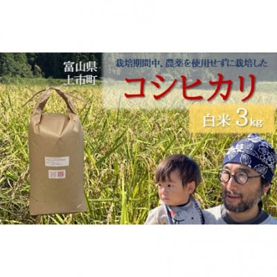 【令和8年産】富山県上市町産 大岩川の栽培期間中、農薬を使用せずに栽培した コシヒカリ 白米3kg