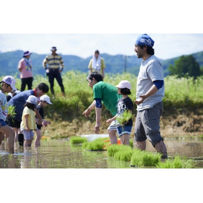 【令和8年産】富山県上市町産 大岩川の栽培期間中、農薬を使用せずに栽培した コシヒカリ 玄米5kg
