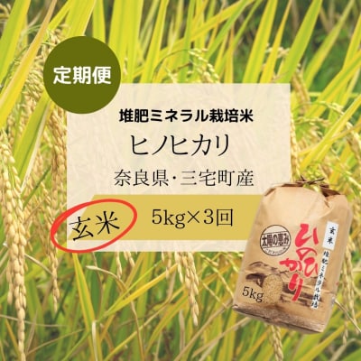 【3回定期便】ひのひかり 玄米5kg×3回 全15kg 奈良県 三宅町 ヒノヒカリ 志埜米穀店