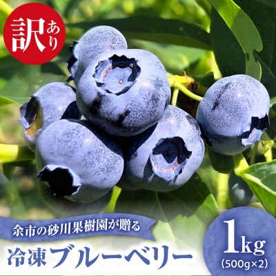 余市の砂川果樹園が贈る 訳あり冷凍ブルーベリー1Kg_Y033-0037