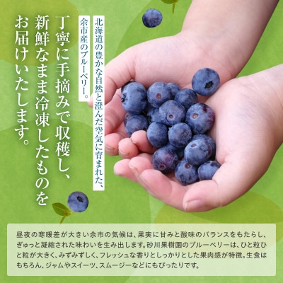 余市の砂川果樹園が贈る 訳あり冷凍ブルーベリー1Kg_Y033-0037
