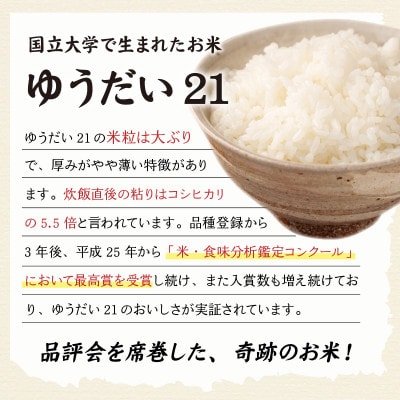 【先行予約】【令和8年産】ゆうだい21 5kg×1袋(計5kg)