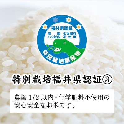 【先行予約】【令和8年産】ゆうだい21 5kg×1袋(計5kg)