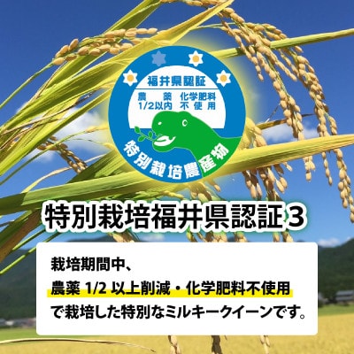 【先行予約】【令和8年産】【農家直送】 ミルキークイーン 5kg×1袋(計5kg)白米