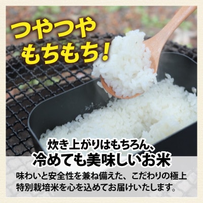 【先行予約】【令和8年産】【農家直送】 ミルキークイーン 5kg×1袋(計5kg)白米