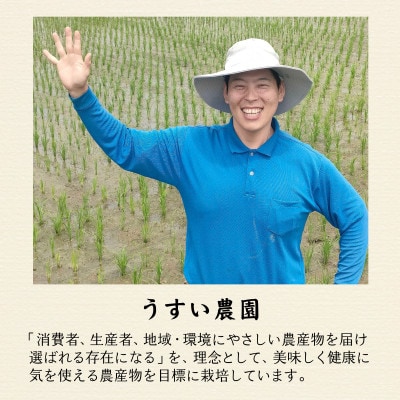 【先行予約】【令和8年産】【農家直送】 ミルキークイーン 5kg×1袋(計5kg)玄米