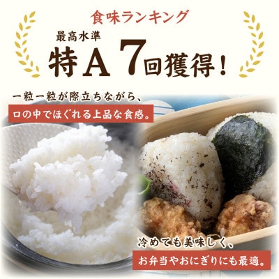 【先行予約】【令和8年産】【農家直送】いちほまれ 5kg×1袋