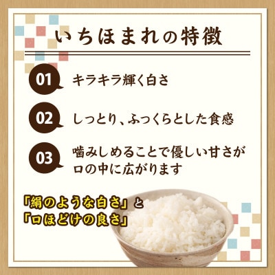 【先行予約】【令和8年産】【農家直送】いちほまれ 5kg×1袋
