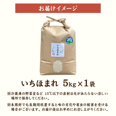 【先行予約】【令和8年産】【農家直送】いちほまれ 5kg×1袋