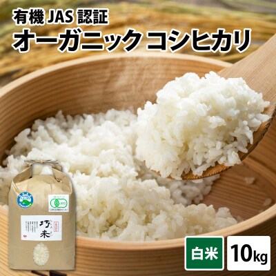 【令和8年産】有機JAS認証 オーガニックコシヒカリ 白米 5kg×2袋(計10kg)