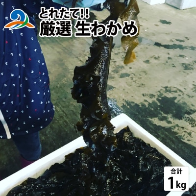 とれたて!!厳選生わかめ1.0kg 