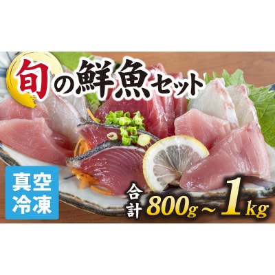 【日本海鮮魚】漁師厳選鮮魚真空冷凍セット 約800g～1.0kg(3種以上) 
