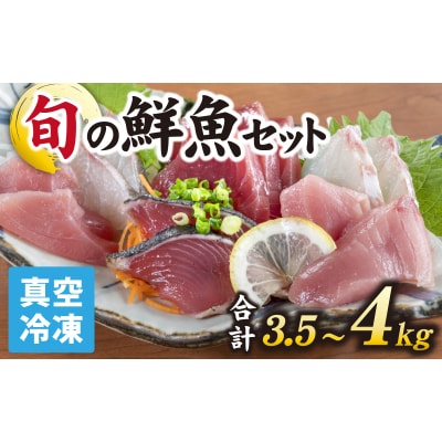 【日本海鮮魚】漁師厳選鮮魚真空冷凍セット約3.5g～4.0kg(5種以上)
