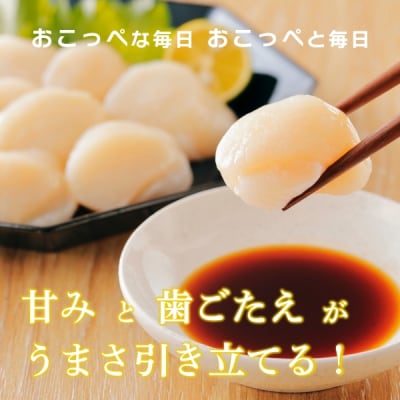 【ふぞろい品】ホタテ玉冷1.5kg 北海道オホーツク産【302】