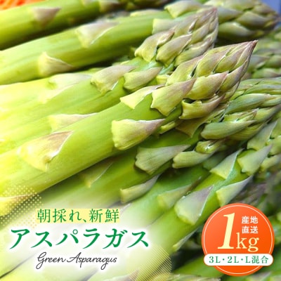 【先行受付】R8年産 アスパラガス 1kg 山内農園 | 北海道津別町