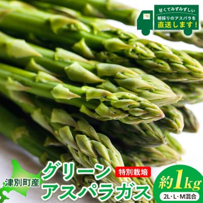 【先行受付】R8年産 アスパラガス 約1kg 特別栽培 細川農園 | 北海道津別町