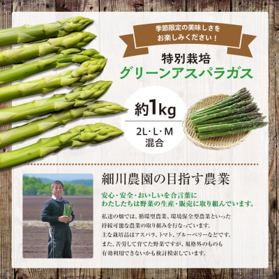 【先行受付】R8年産 アスパラガス 約1kg 特別栽培 細川農園 | 北海道津別町