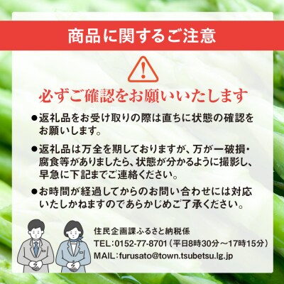 【先行受付】R8年産 アスパラガス 約1kg 特別栽培 細川農園 | 北海道津別町
