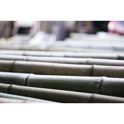 迎春!　生門松 (130cm)SK-130