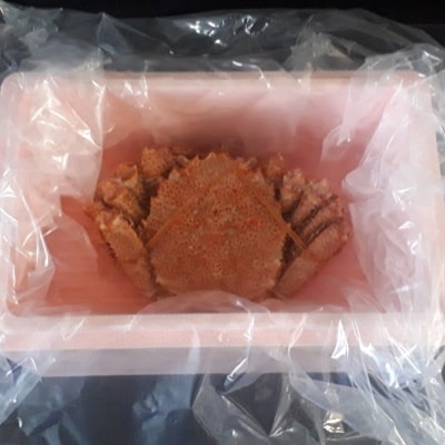 毛蟹700g×1尾 C-66016