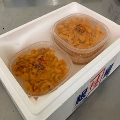 塩水うに70g前後×3P[11月以降発送] C-60009