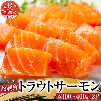 お刺身トラウトサーモン約300～400g×2P A-28130