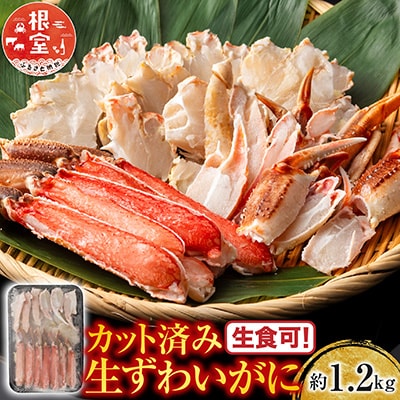 生食可!カット済み生ずわいがに約1.2kg B-11099