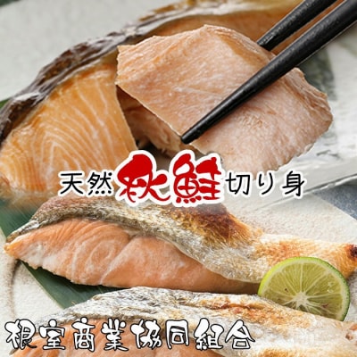 天然秋鮭切り身5切×3P G-18014