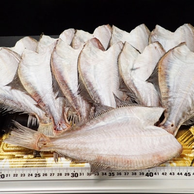 【北海道根室産】一夜干し宗八かれい12枚 G-14006