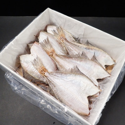 根室海鮮市場＜直送＞【北海道根室産】一夜干し宗八かれい12枚 G-28006