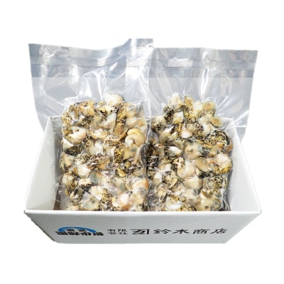 【北海道根室産】生食用灯台つぶ(ボイル済)250g×2P(計500g) G-14040