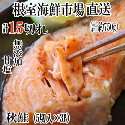 無添加甘塩天然秋鮭5切入×3P(計15切、約750g) G-28038