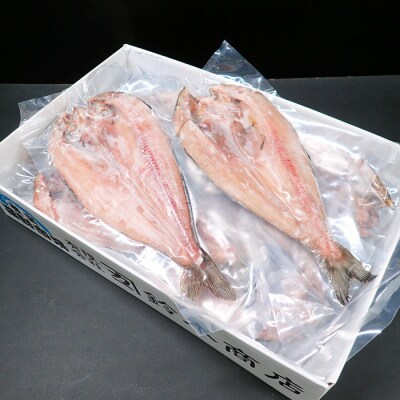 開きほっけ一夜干10枚 A-11020