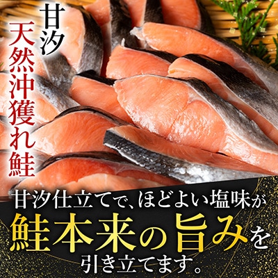 甘汐天然沖獲れ鮭1切×18P(約1kg) A-11132