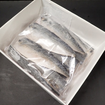 塩さばフィーレ11枚入×1P(計約1.5kg) G-11021