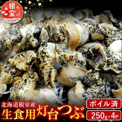 【北海道根室産】生食用灯台つぶ(ボイル済み)250g×4P(計1kg) A-14133