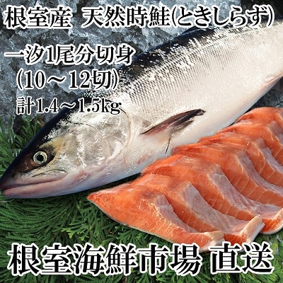 【北海道根室産】無添加天然時鮭(トキシラズ)1尾分切身(10～12切) B-14121