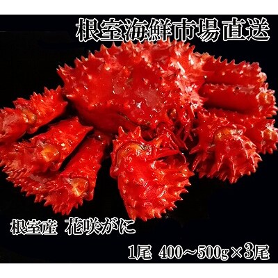 【北海道根室産】花咲ガニ400～500g×3尾 B-11119