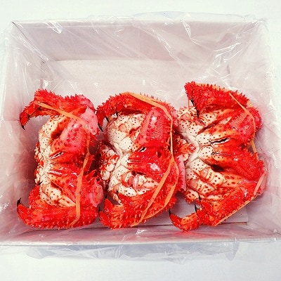 【北海道根室産】花咲ガニ400～500g×3尾 B-14122