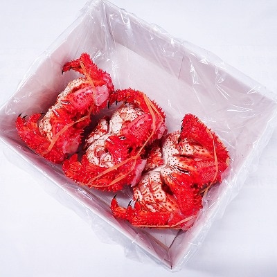 【北海道根室産】花咲ガニ400～500g×3尾 B-28121