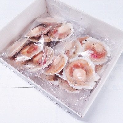 ＼漁業者応援品/片貝ほたて10枚×2P A-11121