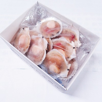 片貝ほたて10枚 G-11044