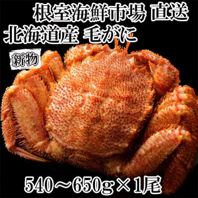 ボイル毛がに540～650g×1尾 B-11120